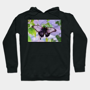 beautiful green butterfly Hoodie